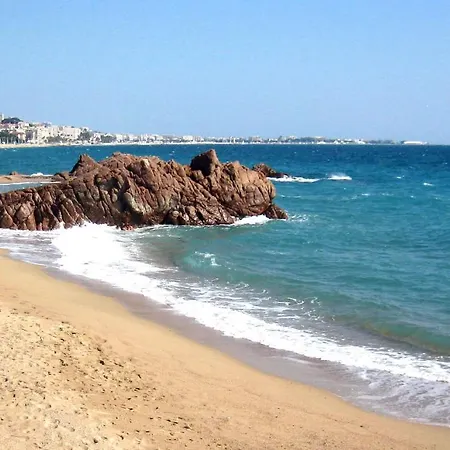 Cannes, La Palme D'or