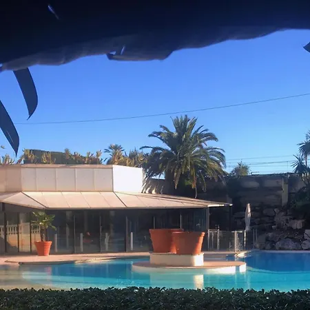 Cannes, La Palme D'or *