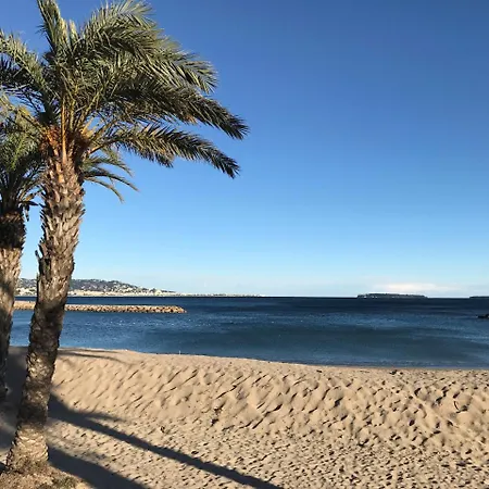 Cannes, La Palme D'or كان