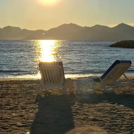 Cannes, La Palme D'or كان