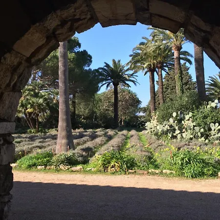 Cannes, La Palme D'or كان