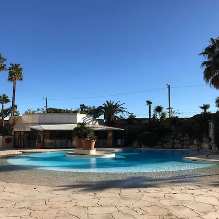 Cannes, La Palme D'or