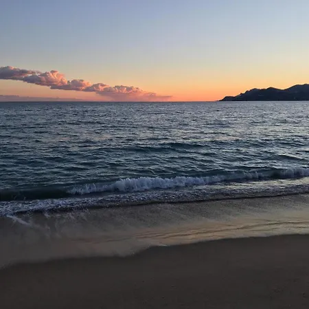 Cannes, La Palme D'or דירה קאן