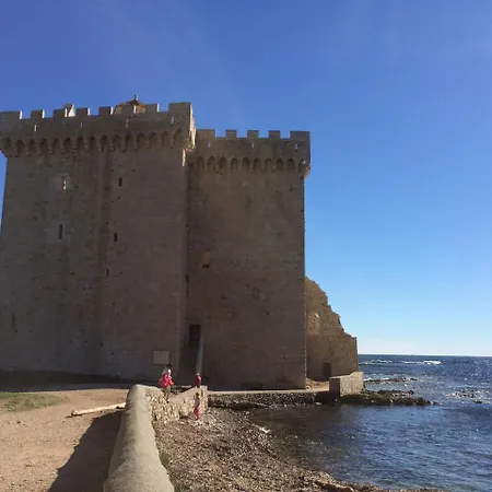 Cannes, La Palme D'or
